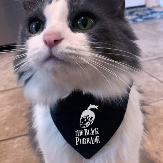 the black purrade - my chemical romance cat bandana