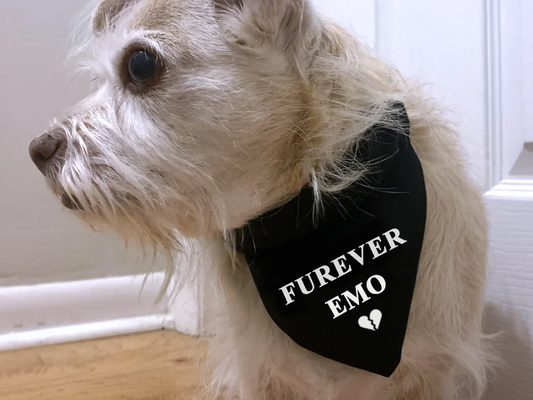 furever emo pet bandana