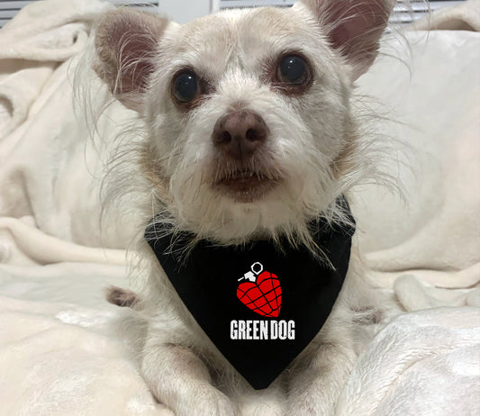 green dog - green day dog bandana
