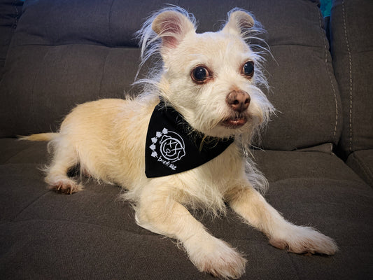 bark-182 (self titled) - blink-182 dog bandana