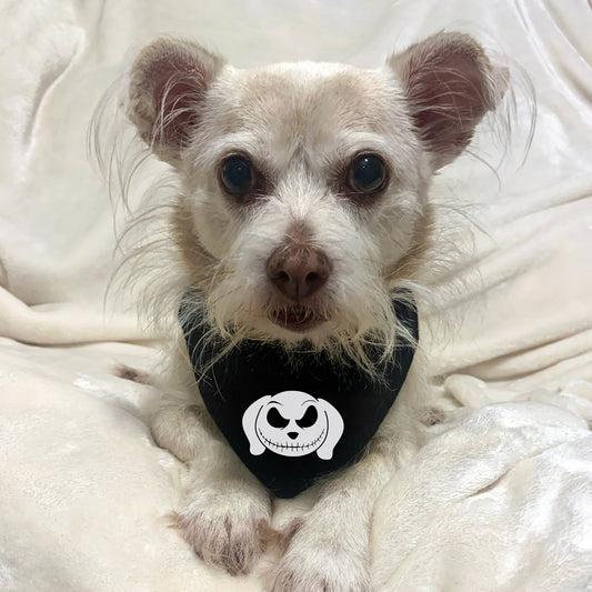 halloween dog bandana