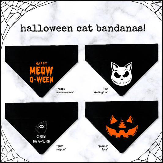 halloween cat bandana