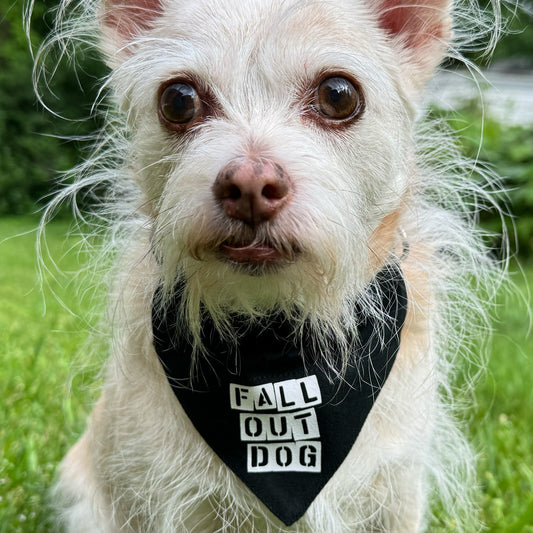 fall out dog - fall out boy dog bandana