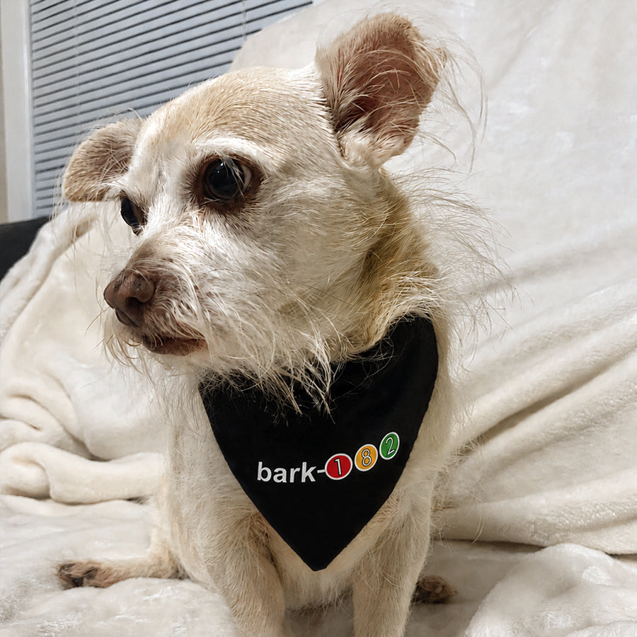 bark-182 - take off your pants and jacket dog bandana