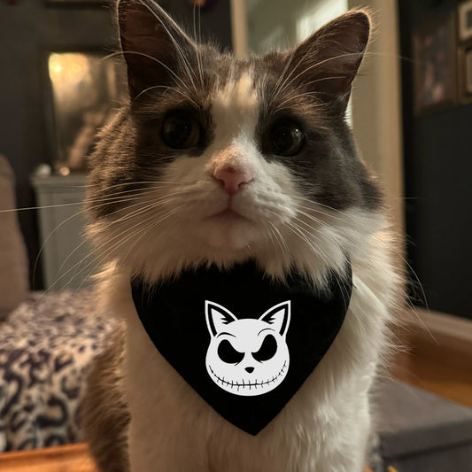 halloween cat bandana