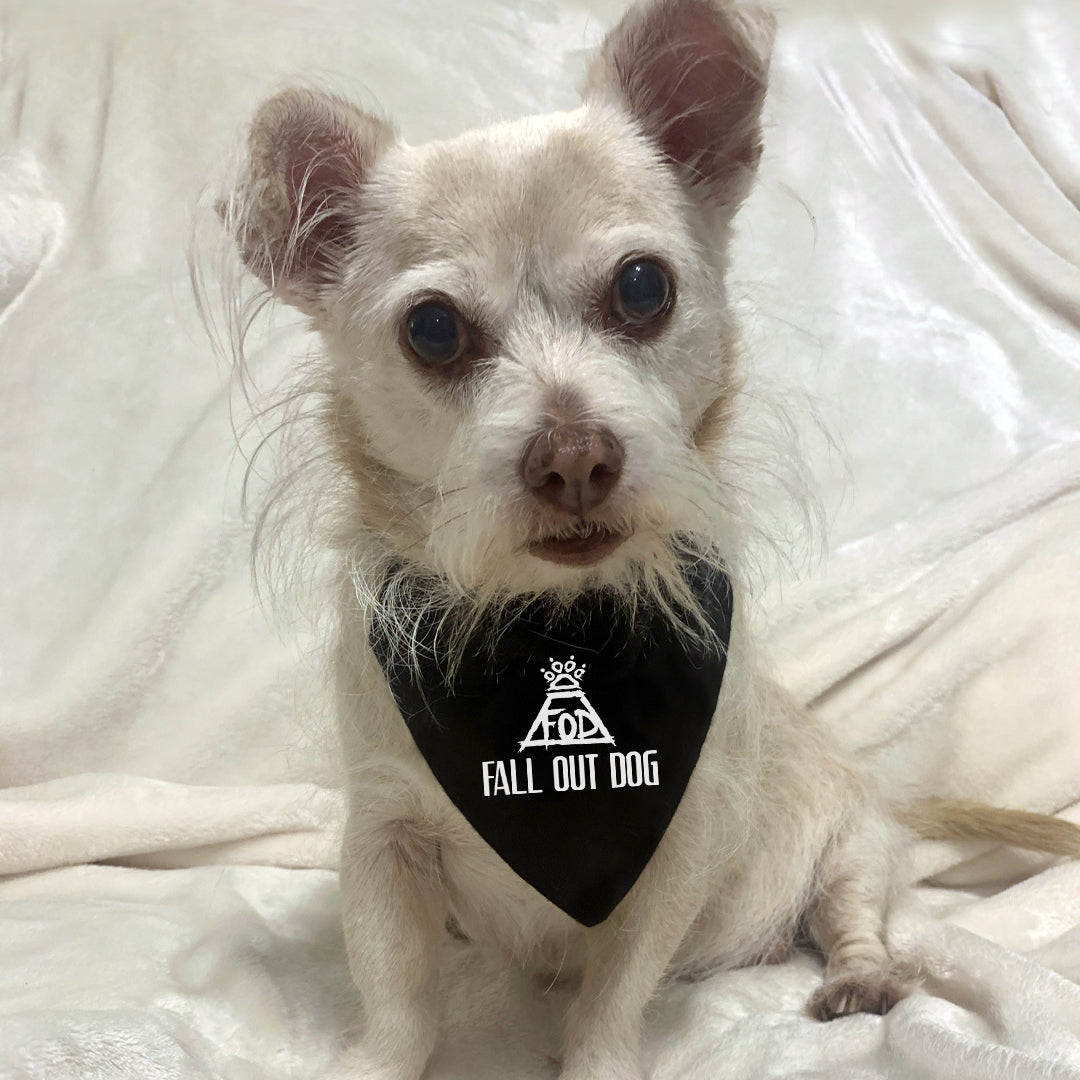 fall out dog save rock & roll - fall out boy dog bandana