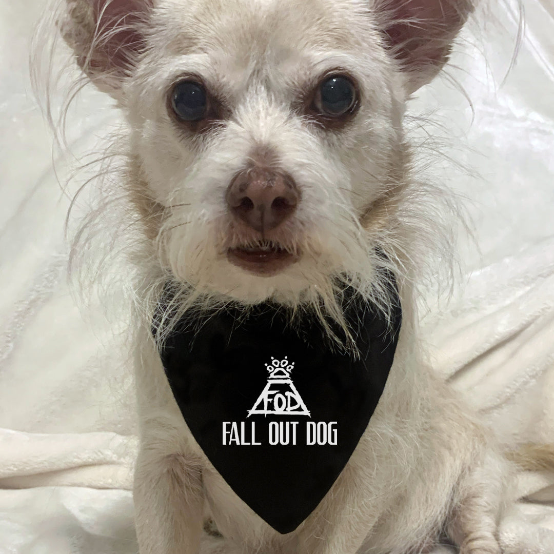 fall out dog save rock & roll - fall out boy dog bandana