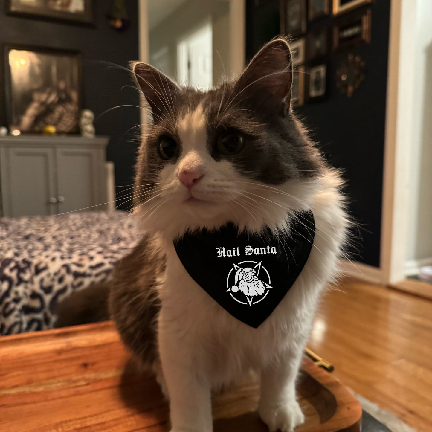 hail santa pet bandana