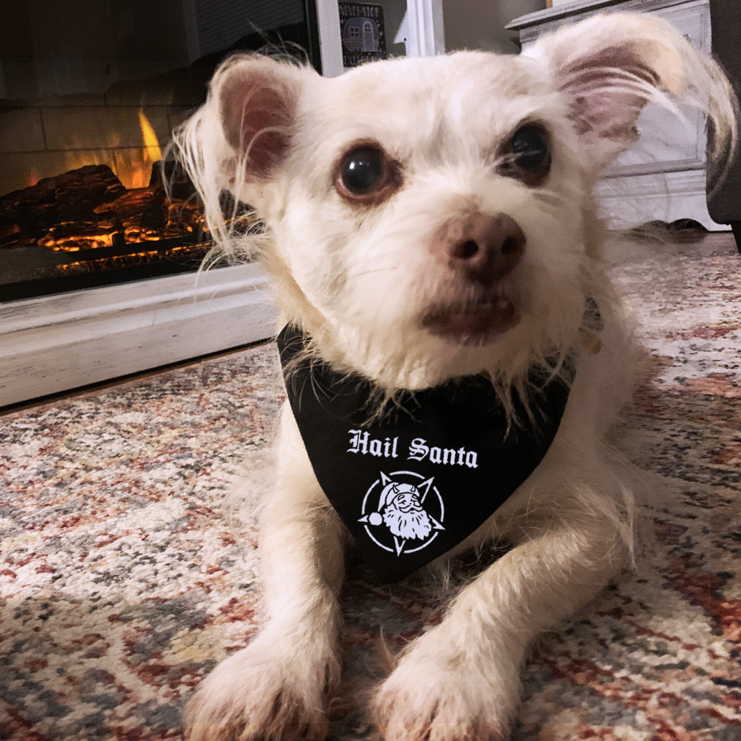 hail santa pet bandana