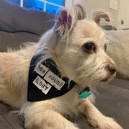 new hound glory - new found glory dog bandana