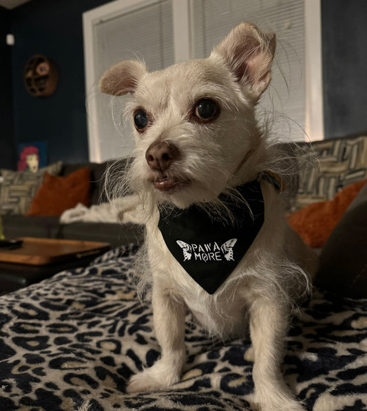 pawamore - paramore pet bandana