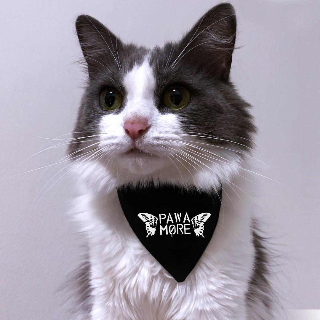 pawamore - paramore pet bandana